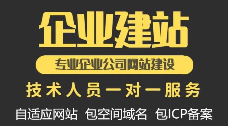 專業(yè)企業(yè)網(wǎng)站建設公司